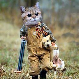 �lex, �����, 40 ���