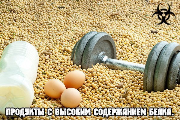 Продукты с высоким содержанием белка. 1. Яйца – 17%, яичный ... | Со ...