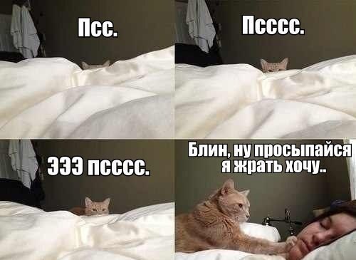       - 2  2014  08:02
