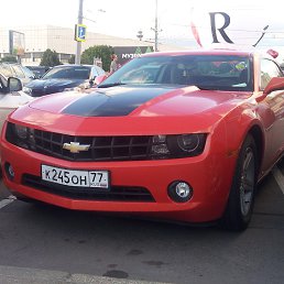 ���� Moonlight, ������, 42 ���� - ��������� 19 �������� 2014