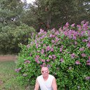 ���� ���������, ����, 65 ��� - ��������� 26 ������ 2014 � ������ ���� ����������