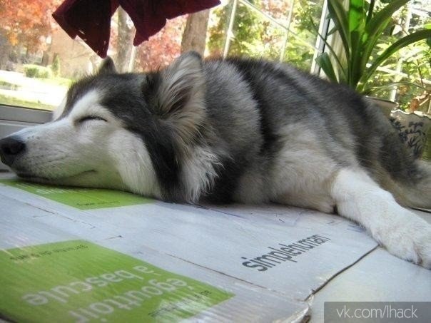   ,    ,     ,   . - 4