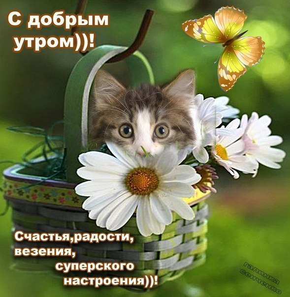   -  ! - 15  2014  07:05