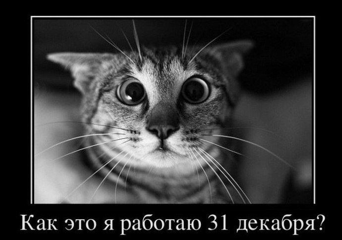  - 11  2014  20:30