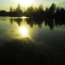 ���� ������, ������, 29 ��� - ��������� 11 ������� 2014 � ������ ���� ����������