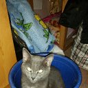 ���� �����, ���������, 33 ���� - ��������� 12 ������� 2014 � ������ ���� ����������