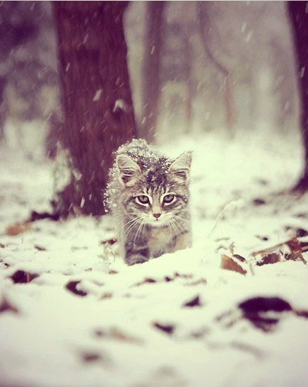       - 12  2014  23:02 - 4