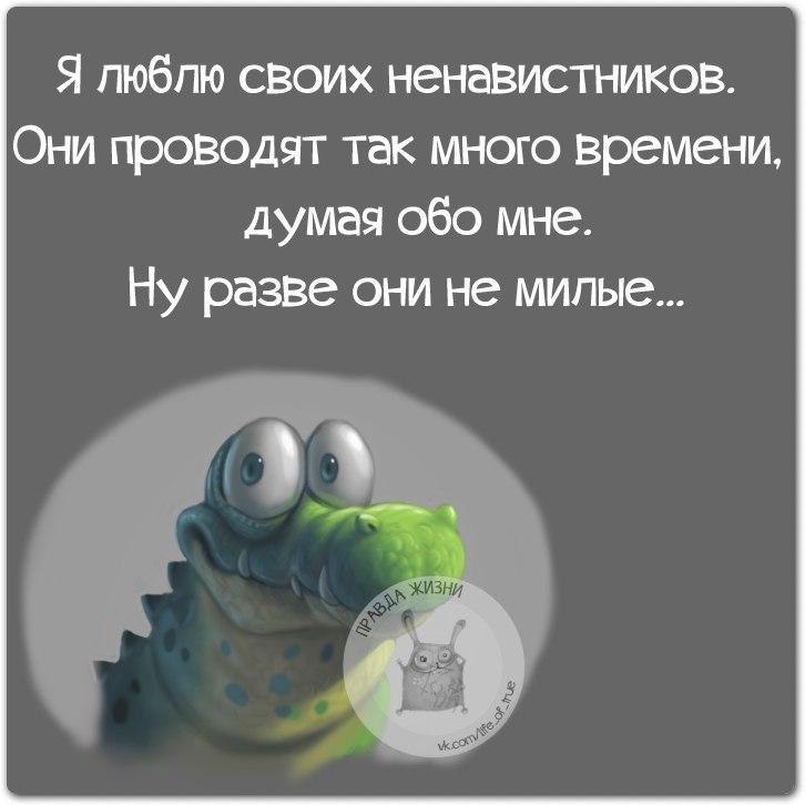 Ненавистник. Жесткая правда жизни цитаты. Картинки сарказм правда жизни. Сарказм про правду. Цитаты про ненавистников.