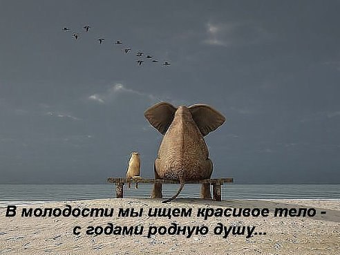   - 15  2014  16:33