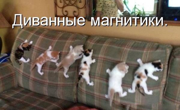    :-) - 1  2014  02:42