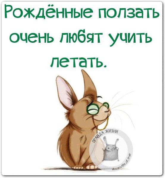 ������ ����� - 8 ������ 2014 � 20:14