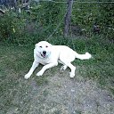 ���� ������, ������, 45 ��� - ��������� 27 �������� 2014 � ������ ���� ����������