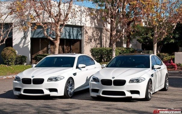 Купить б/у BMW 5 серии V (E60/E61) Рестайлинг 525i 2.5 AT (218 л.с.) бензин авто