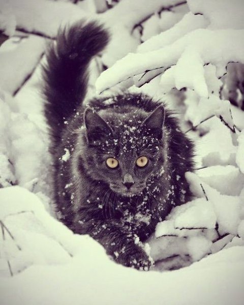       - 12  2014  23:02 - 3