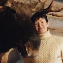 ���� �������, ����� - ��������� 2 ������� 2014 � ������ ������ 29-30.11.2014�