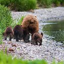 ���� ������, �����������, 57 ��� - ��������� 8 ������ 2014 � ������ �555�