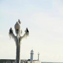 ���� Carcass, ������, 44 ���� - ��������� 11 ������� 2014 � ������ �violent frost�