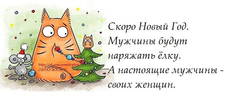 Наряжаем елку. Статусы про наряженную новогоднюю елку. А ты нарядил елку плакат. Будете украшать. В нетленной красоте кроткого и молчаливого духа.