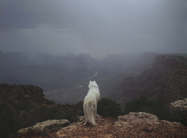 Grand Canyon, Arizona