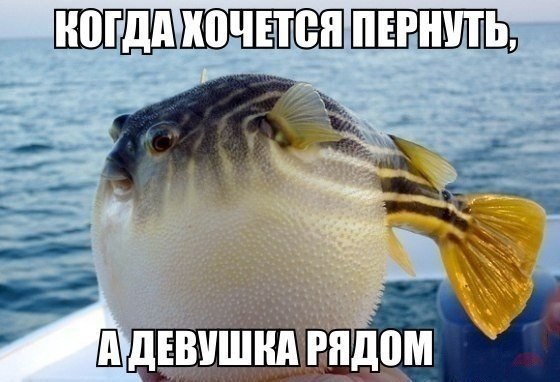  - 19  2014  19:55
