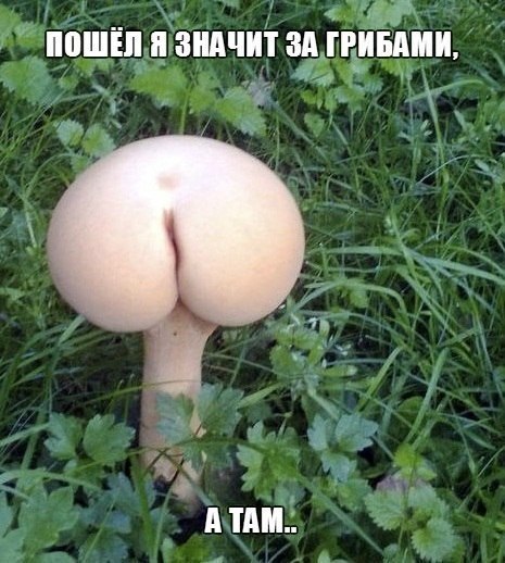  - 3  2014  16:03