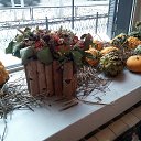 ���� ����, ������ ��������, 46 ��� - ��������� 31 ������� 2014 � ������ ���� ����������