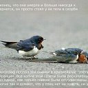 ���� ������, �����, 63 ���� - ��������� 24 ������� 2014 � ������ ������������