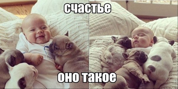 .•°Dogs Forever°•. - 12  2014  13:29