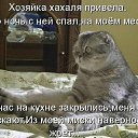 ���� ������ -������ ���������, ���������, 62 ���� - ��������� 10 ������ 2014 � ������ ������ ��������