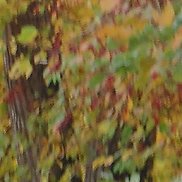 �������, , ����-������