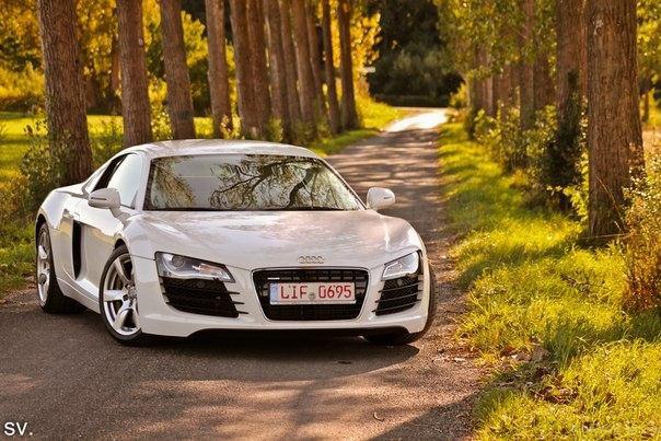 All White Audi R8. - 3