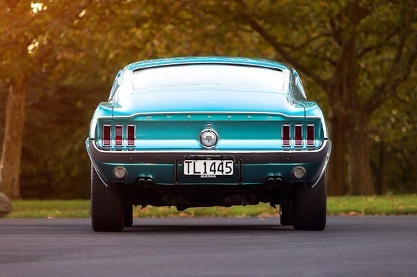 Ford Mustang - 4