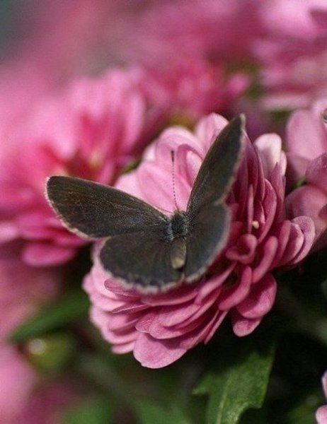 Когда в душе