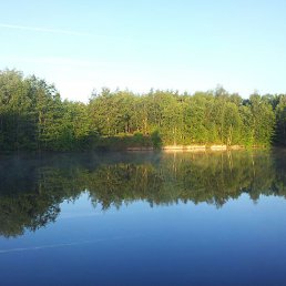 ���� Grigorii, ��������, 62 ���� - ��������� 19 �������� 2014