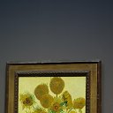 ���� ������, ������, 66 ��� - ��������� 28 �������� 2014 � ������ ���� ����������