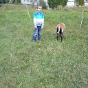 ���� ������, ������, 43 ���� - ��������� 22 �������� 2014 � ������ ���� �������