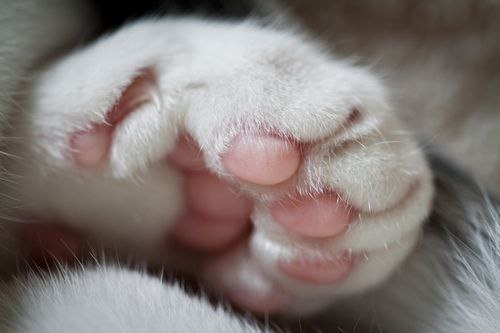  :3