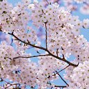 ���� **���� ������ �**, ������ - ��������� 4 ������� 2014 � ������ ���������