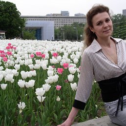 ���� ��������, ������ - ��������� 25 ������ 2014