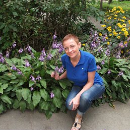 ����, �����������, 60 ���