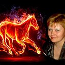 ���� ������, ������ - ��������� 4 ������� 2014