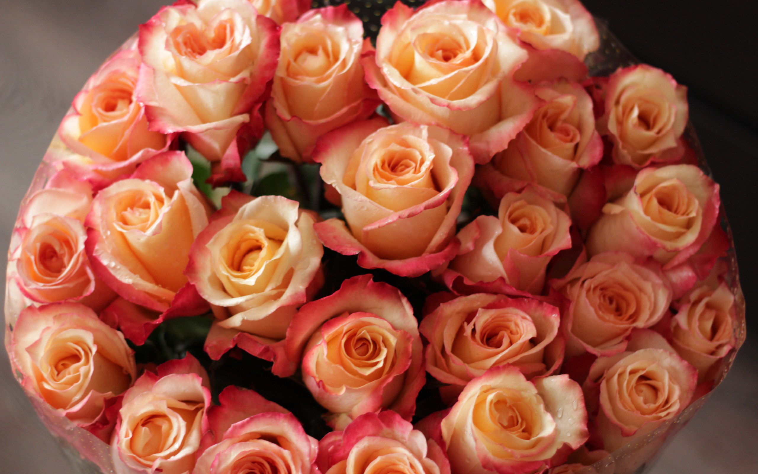 Большие розочки. Красивые чайные розы букеты. Красивые букеты из чайных роз.