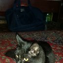 ���� �����, ���������, 33 ���� - ��������� 12 ������� 2014 � ������ ���� ����������