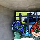 ���� ��������, �����, 77 ��� - ��������� 11 �������� 2014 � ������ �������.������.������� ����� !�