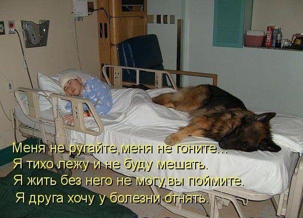 .•°Dogs Forever°•. - 22  2014  23:36