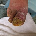 ���� ����� �������, �������, 49 ��� - ��������� 12 ������ 2014 � ������ ���� ������