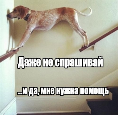    :-) - 3  2014  21:06
