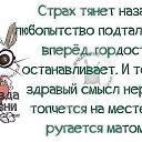 ���� �������, ���������, 47 ��� - ��������� 9 ������ 2014 � ������ ������ ��������