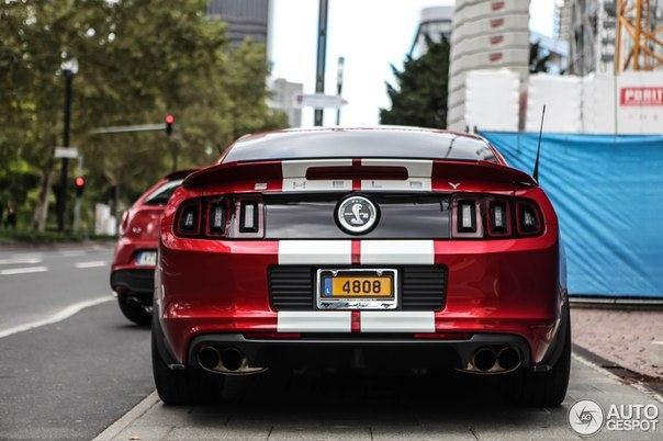 Shelby GT500 '2013 - 8