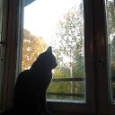 ���� ���������, ������, 44 ���� - ��������� 8 ������ 2014 � ������ �SUSANNA�